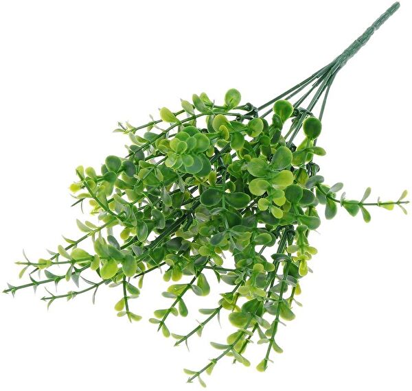 Nettenevime Yapay Çiçek, Meyve