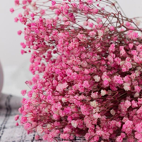 Nettenevime Yapay Çiçek, Meyve