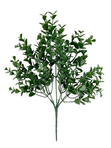 Nettenevime Yapay Çiçek, Meyve