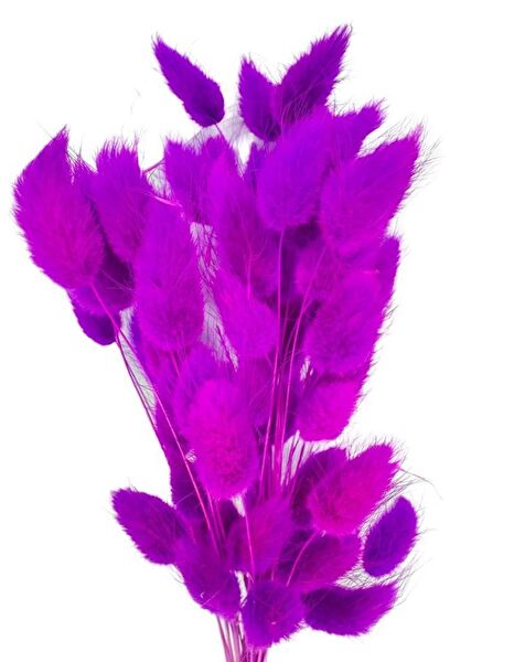 Nettenevime Yapay Çiçek, Meyve