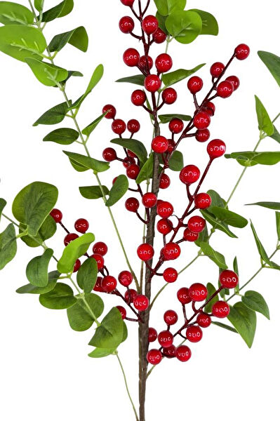 Nettenevime Yapay Çiçek, Meyve