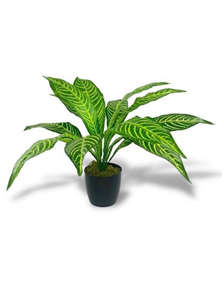 Nettenevime Yapay Çiçek, Meyve