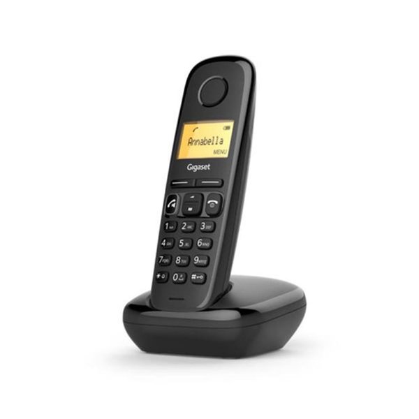 Gigaset Santral, Dect Telefonlar