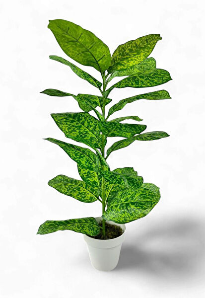 Nettenevime Yapay Çiçek, Meyve