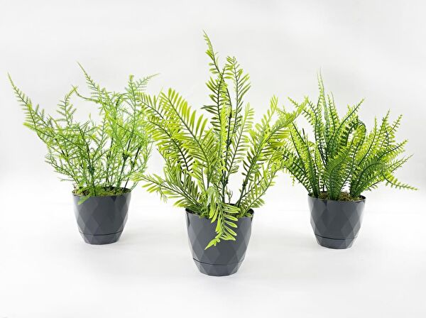 Nettenevime Yapay Çiçek, Meyve