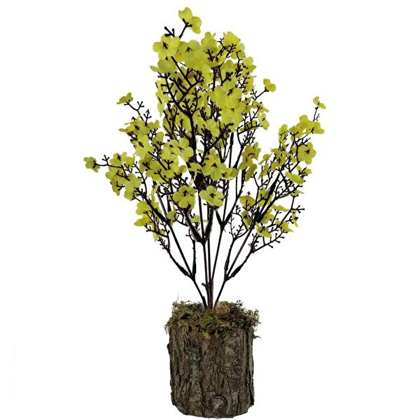 Nettenevime Yapay Çiçek, Meyve