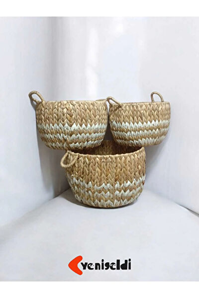 yenigeldi Sepet, Kutu