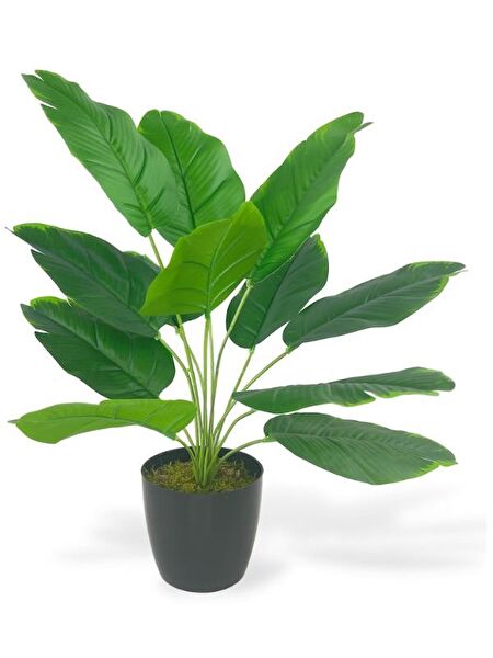 Nettenevime Yapay Çiçek, Meyve