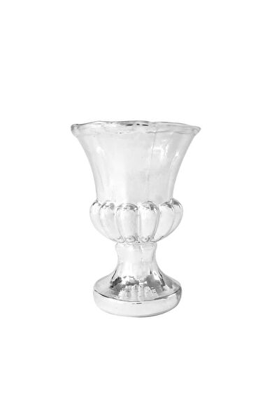 Nettenevime Vazo, Saksı