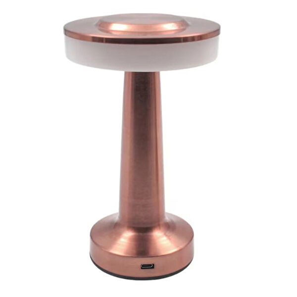 SİNERJİM Masa Lambası