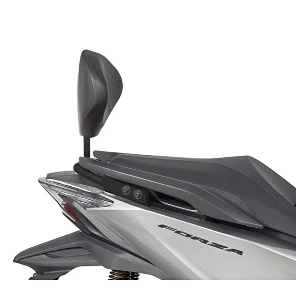 Shad Motosiklet Sissy Bar & Sırtlık