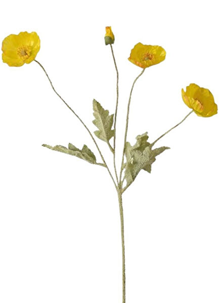 Nettenevime Yapay Çiçek, Meyve