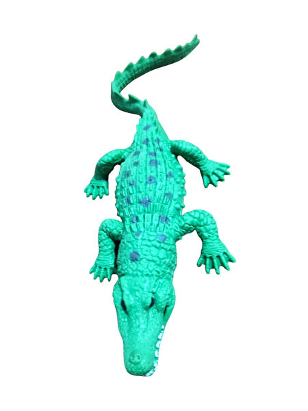 Can Karakter Figürü