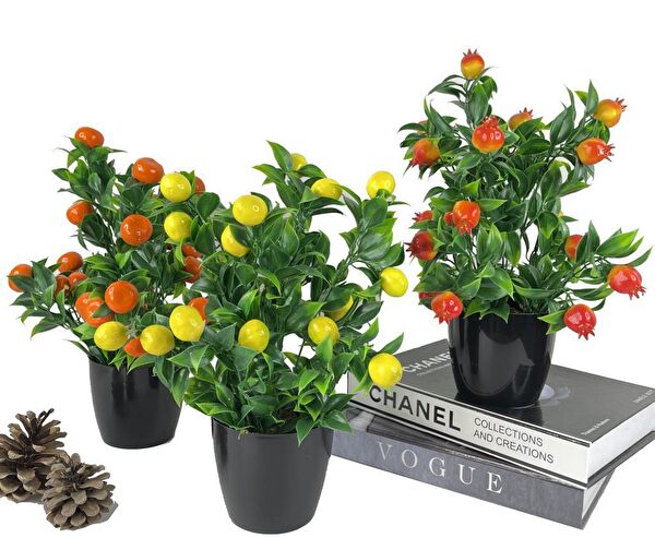 Nettenevime Yapay Çiçek, Meyve