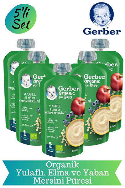 Gerber Ek Besinler