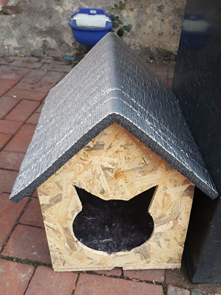 Narım Kedi Evi