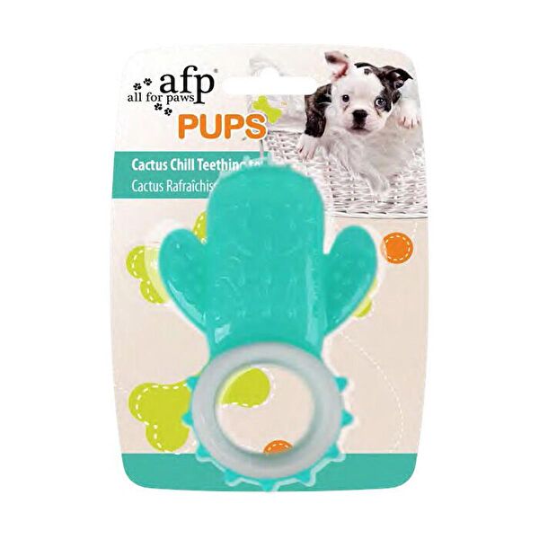 AFP Köpek Kemikleri