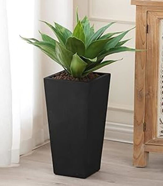 Nettenevime Vazo, Saksı