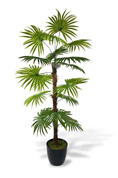 Nettenevime Yapay Çiçek, Meyve