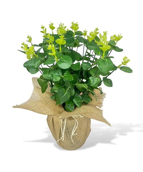 Nettenevime Yapay Çiçek, Meyve