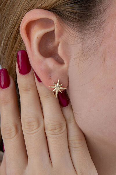 Fiyonk Kuyumculuk Altın Küpe