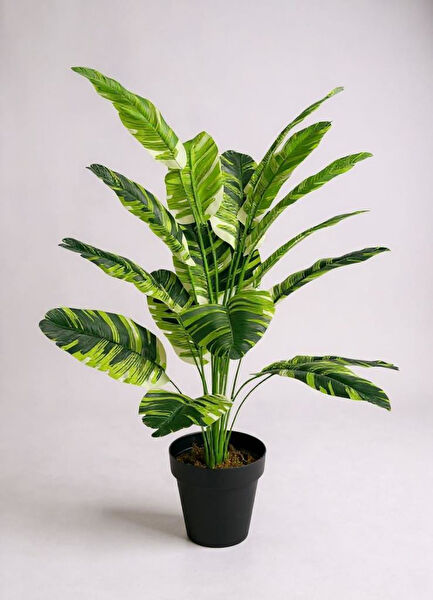 Nettenevime Yapay Çiçek, Meyve