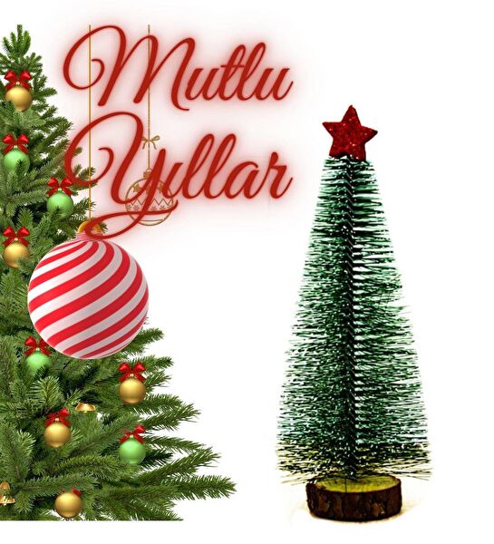 SOLE Yılbaşı Ağacı