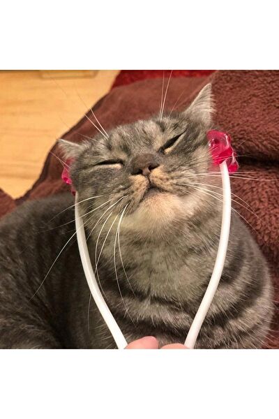 MFASHOP Kedi Tarak, Fırça, Makas