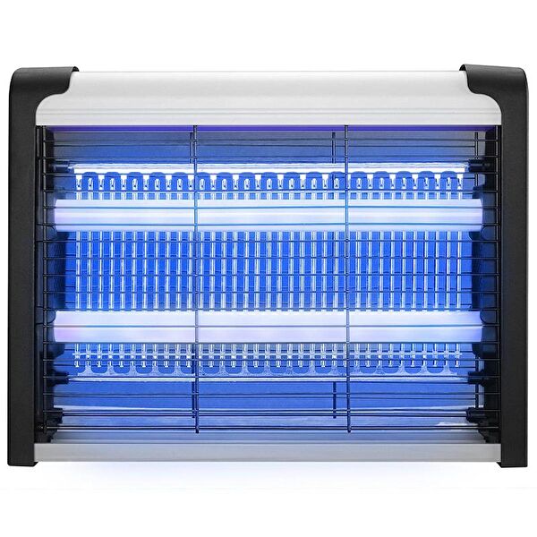 Temiz Pazar Sineklik