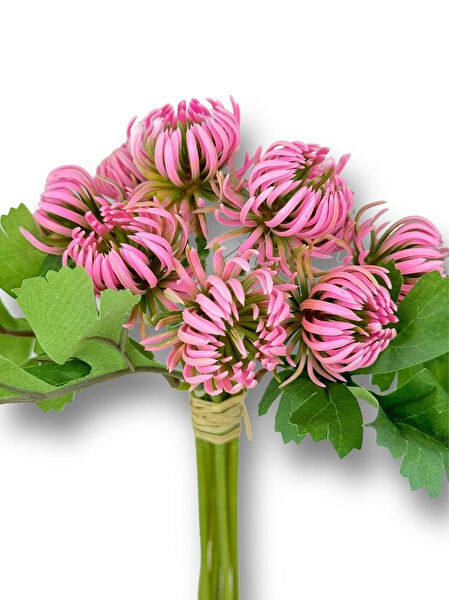 Nettenevime Yapay Çiçek, Meyve