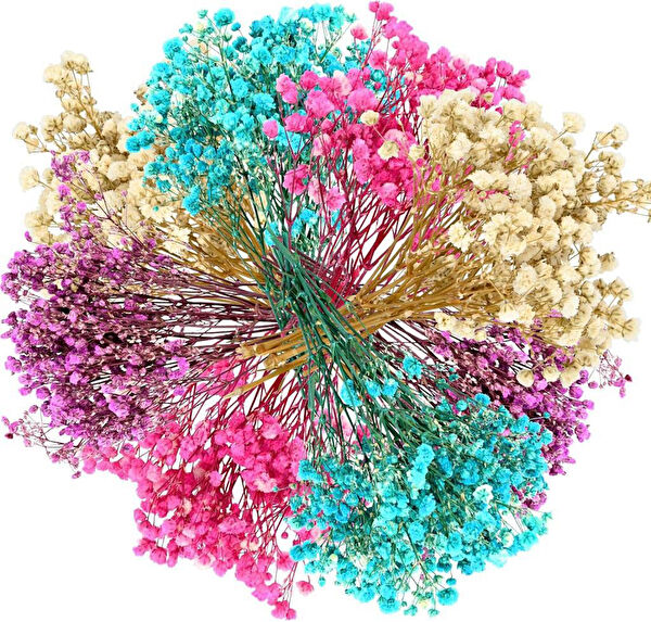Nettenevime Yapay Çiçek, Meyve