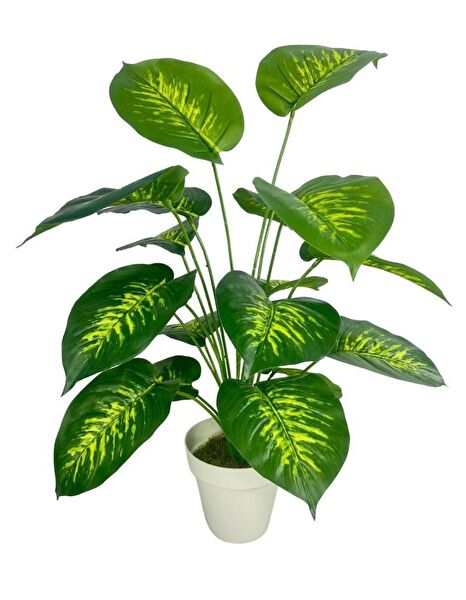 Nettenevime Yapay Çiçek, Meyve