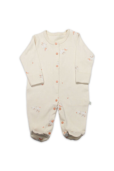 Budi Home Bebek Tulum