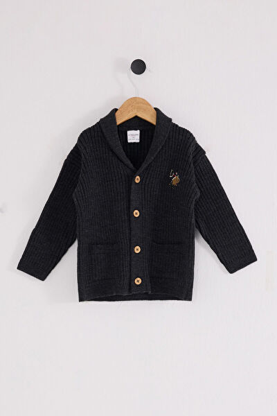 Budi Bebek Hırka, Bolero