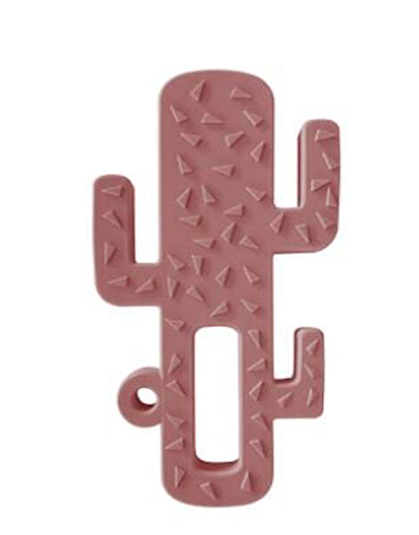 Budi Diş Kaşıyıcı