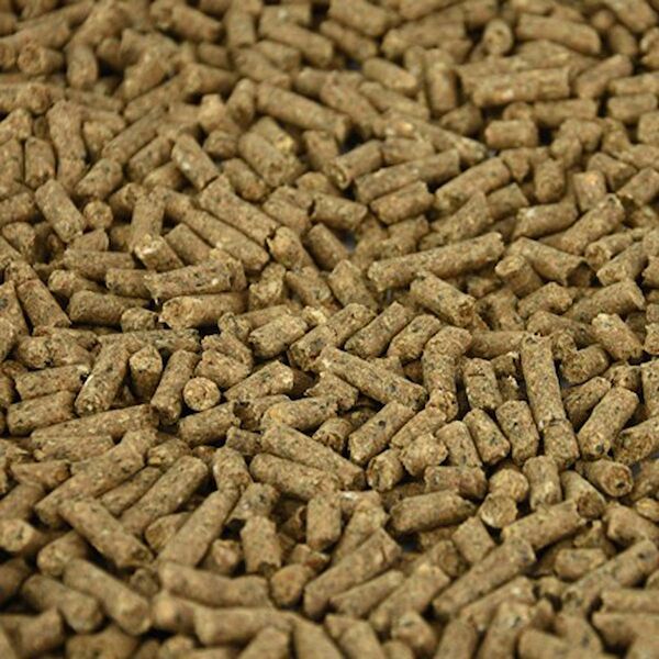 Akvaryum Kemirgen Yemler, Ek Besinler