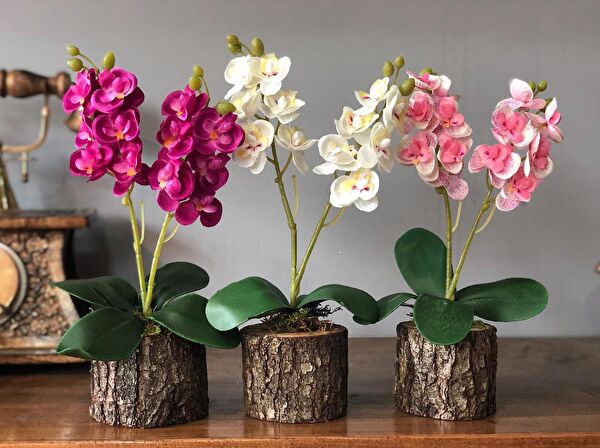 Nettenevime Yapay Çiçek, Meyve