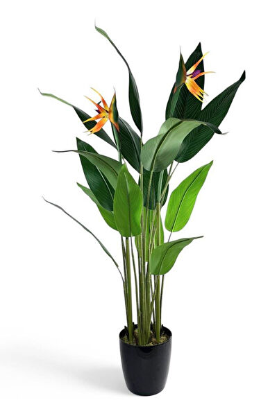 Nettenevime Yapay Çiçek, Meyve