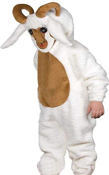 Kostüm Sarayı Kostüm