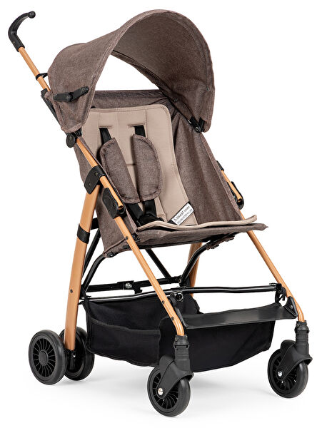 Baby Home Baston, Pusetler