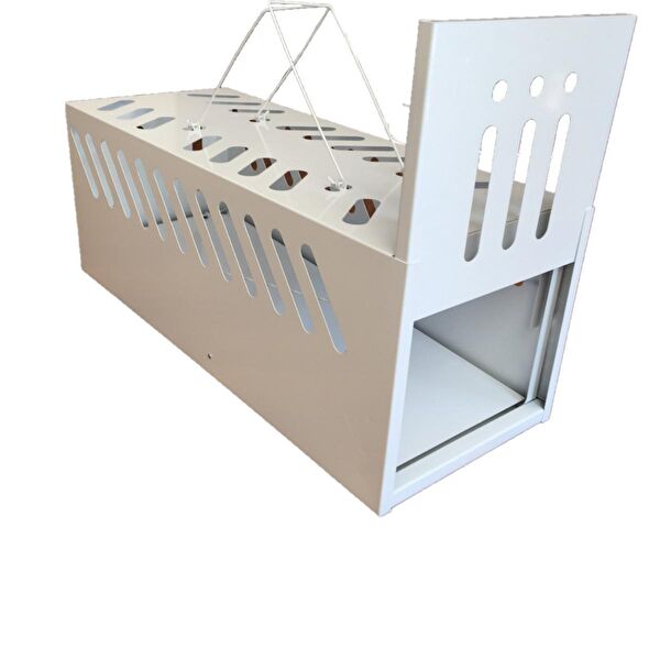 Acar Tuzak ve Ağlar