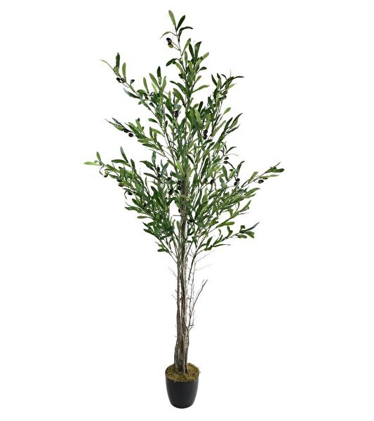 Nettenevime Yapay Çiçek, Meyve