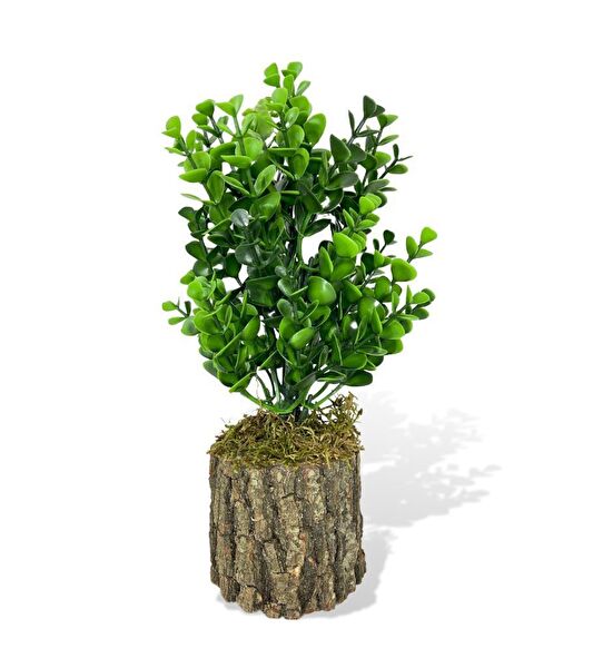 Nettenevime Yapay Çiçek, Meyve