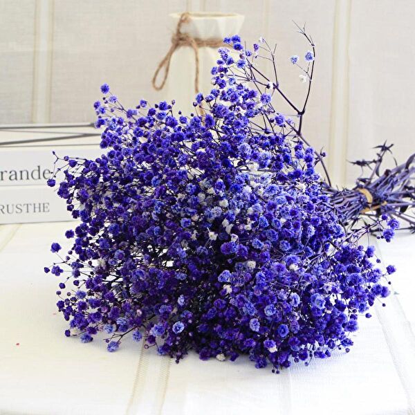 Nettenevime Yapay Çiçek, Meyve