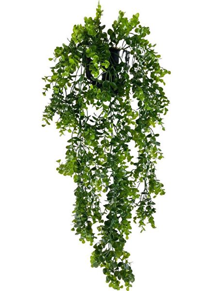 Nettenevime Yapay Çiçek, Meyve