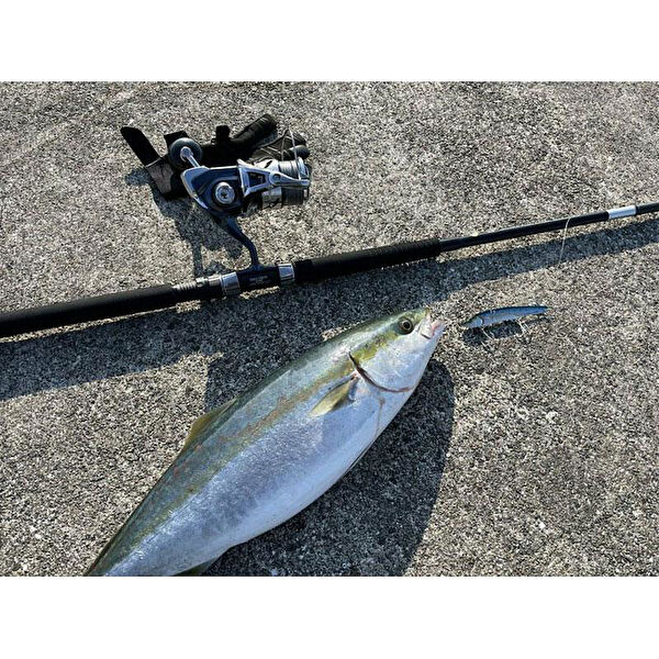 APIA Olta, Kamış Setleri