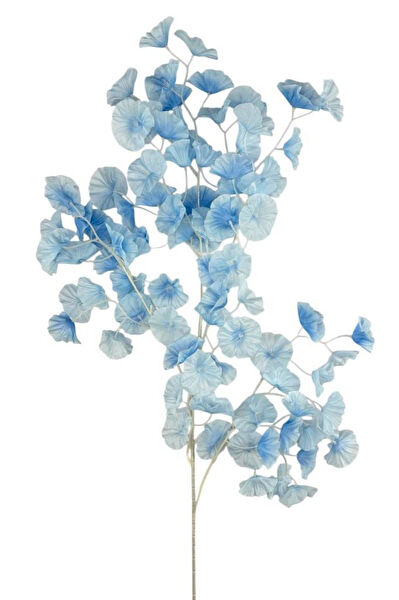 Nettenevime Yapay Çiçek, Meyve