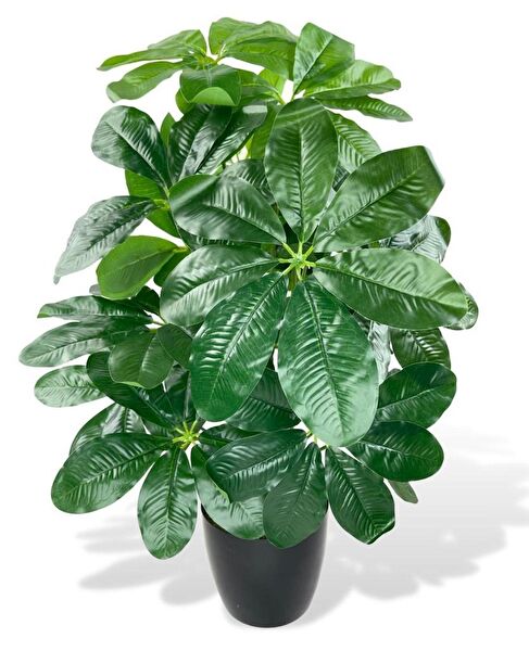 Nettenevime Yapay Çiçek, Meyve