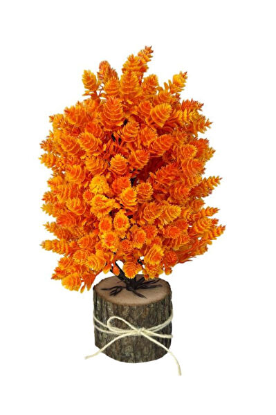 Nettenevime Yapay Çiçek, Meyve