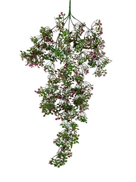 Nettenevime Yapay Çiçek, Meyve